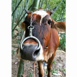 Cattle Nose Ring Stainless Steel Cow Cattle Bovine Nose Ring