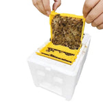 Queen Bee Rearing Beehive,Bee breeding Nuc