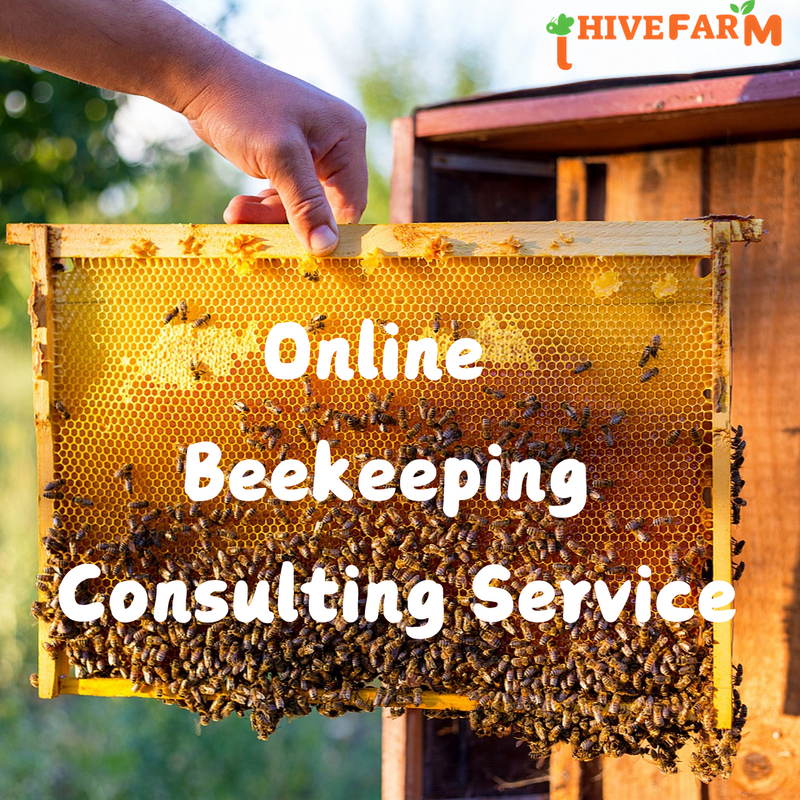 ihivefarm Online Beekeeping Consulting Service