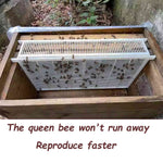 Beehive Queen Confinement Cage